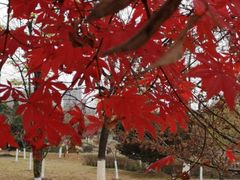 -白塘生态植物园