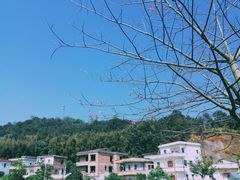 -红山村