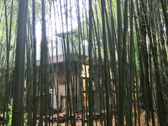 -竹泉村旅游度假区