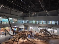 -自贡恐龙博物馆