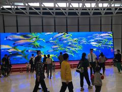 -贝林大翅鲸简餐厅(国家海洋博物馆店)