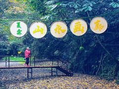 -夏霖九天银瀑风景区