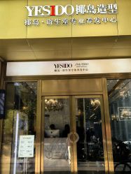 -YESIDO椰岛造型
