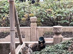 -龙华寺