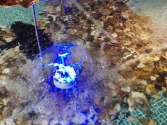 -水晶之星洗浴温泉汗蒸