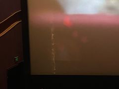 -武汉华夏国际影城(鲁广店)