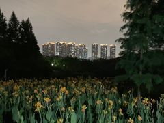 -重庆彩云湖湿地公园