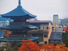 -医王山·飞騨国分寺