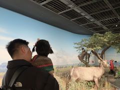 -陕西自然博物馆