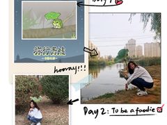 -前关湿地公园