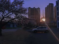 -东北农业大学