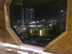 -新加坡丽思卡尔顿美年酒店