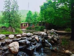 -白水寺森林公园