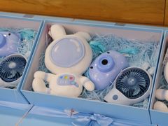 -北京市海淀区锦绣明天莲宝幼儿园