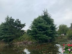 -白马涧龙池景区
