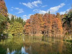 -中国科学院华南植物园