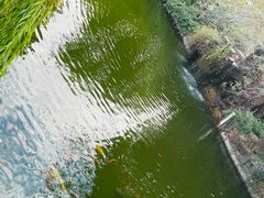 -上海财经大学(国定路校区)