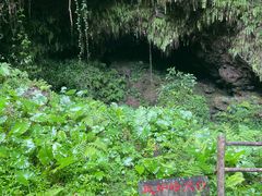 -海口火山口国家地质公园