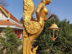 -洛阳白马寺