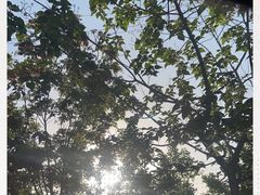 -黄巢水库