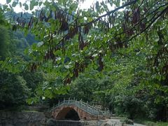 -西安祥峪森林公园