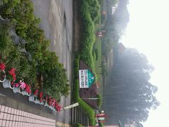 android_upload_pic-微山湖红荷湿地景区