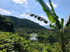 -呀诺达热带雨林