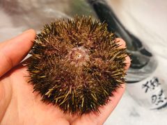 -文三酒肆自助放题(新街口友谊广场店)