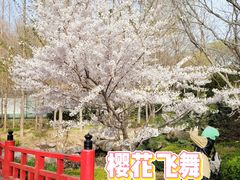 -大连植物园