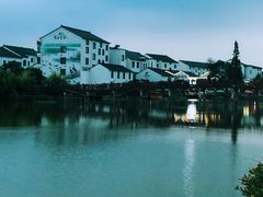 -塘栖枇杷特色园区