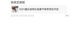 -趣玩宠物乐园寄养训犬训狗游泳池