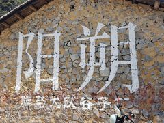 -大师傅金奖啤酒鱼(西街老店)