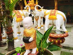 -西双版纳傣族园