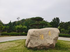 -洛阳古墓博物馆