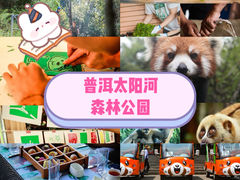 -普洱太阳河森林公园