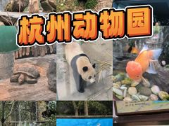 -杭州动物园