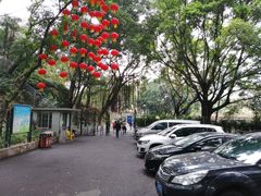 -晓港公园