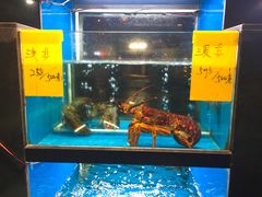 水产区-蓝鲸(国浩路店)