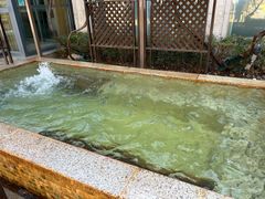 -春晖园度假酒店温泉