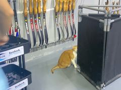 -蓝天射箭馆·专业射箭运动(诚丰广场店)