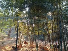 -美心红酒小镇游乐园