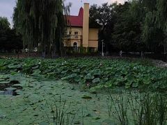 -黛秀湖公园