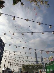 -格乐利雅婚礼艺术中心(南外滩店)