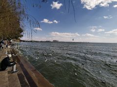 -滇池海埂公园