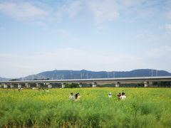 -光明小镇欢乐田园