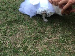 -上海汾阳花园酒店