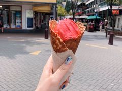 树莓-Patagonia Chocolates(皇后镇店)