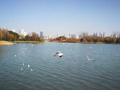 -高子水居
