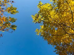 -家有美味(户部山二店)