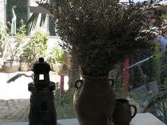 大堂-Anne猫窝咖啡屋